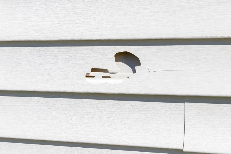 Removing Damaged Vinyl Siding